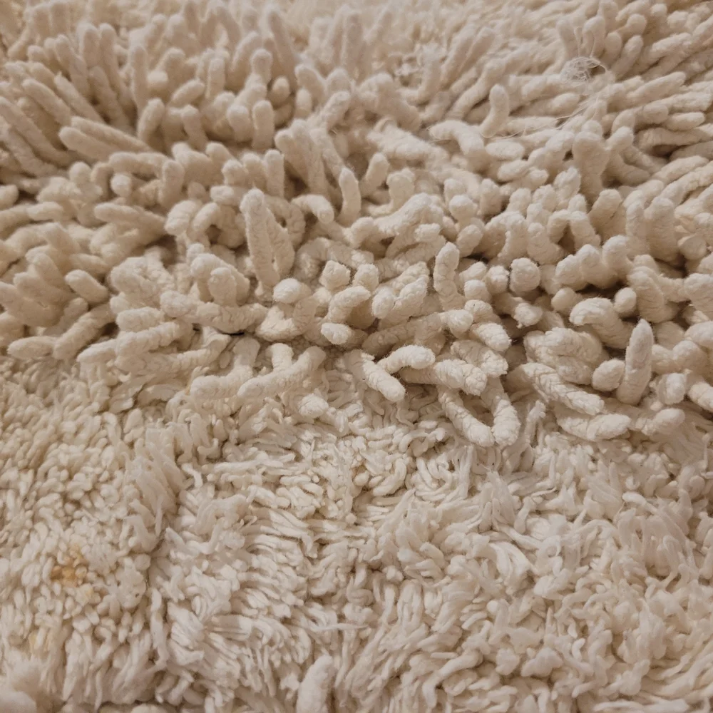 Plush Cream Shag Rug